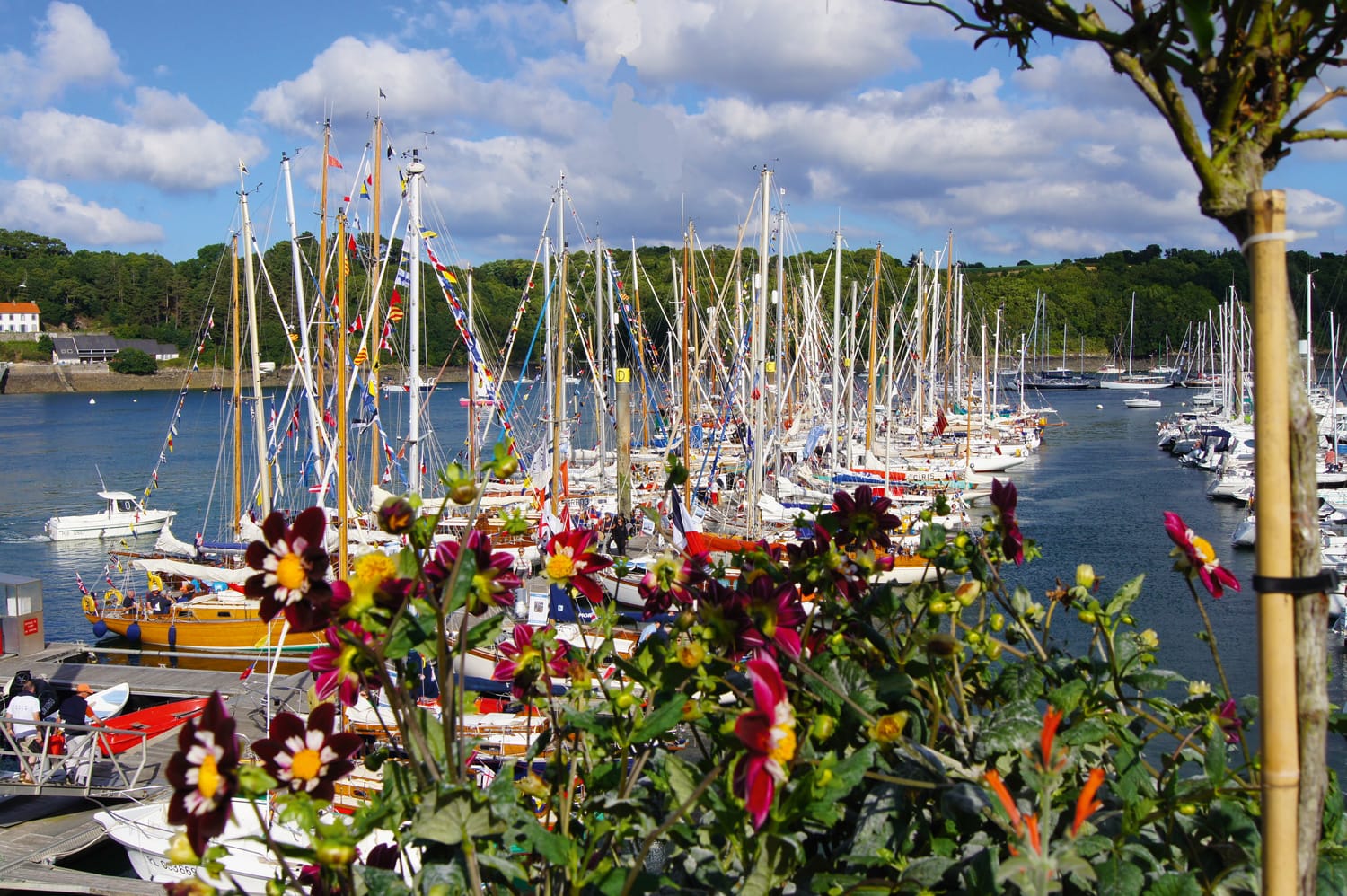 Num  ros utiles Port L  zardrieux Guide port