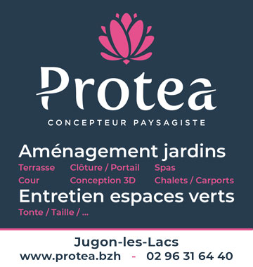 Protea_2m_2024