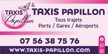 Taxi Papillon_1m_2025